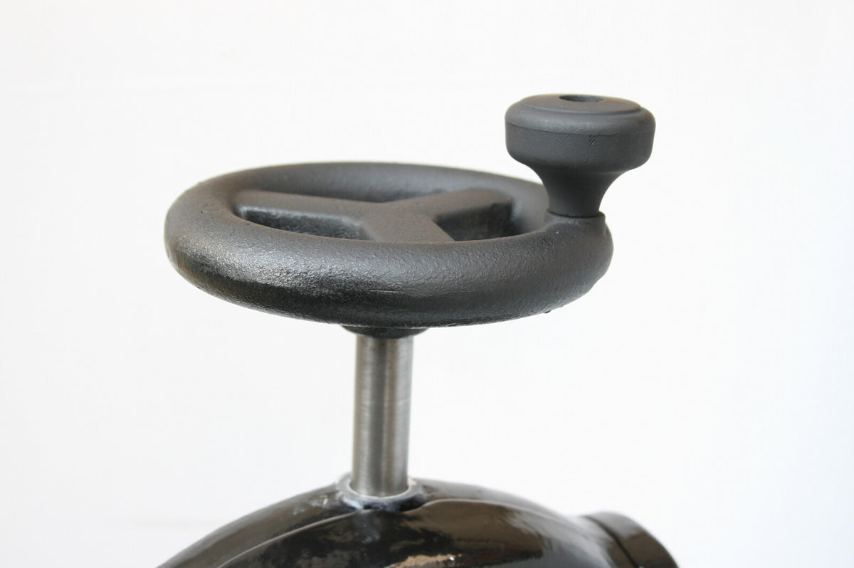 Ikenaga Iron Works Black Swan Shaved Ice Machine