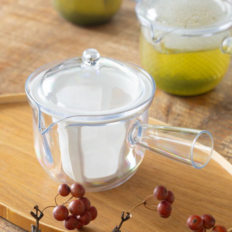 SALUS Clear Teapot Polyester Mesh Infuser Kyusu Style L 260ml/480ml