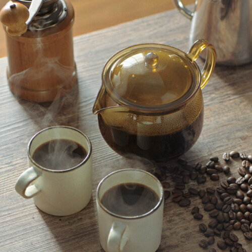SALUS Unbreakable Coffee Teapot Rear-Handle