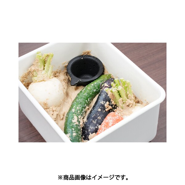 Ikenaga Tekko Cast Iron Pickle Water Drainer Mini 00764