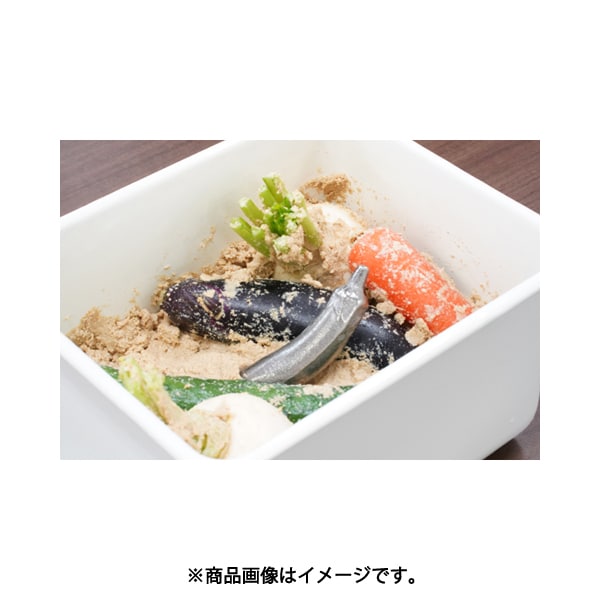 Ikenaga Tekko Cast Iron Eggplant for Pickles