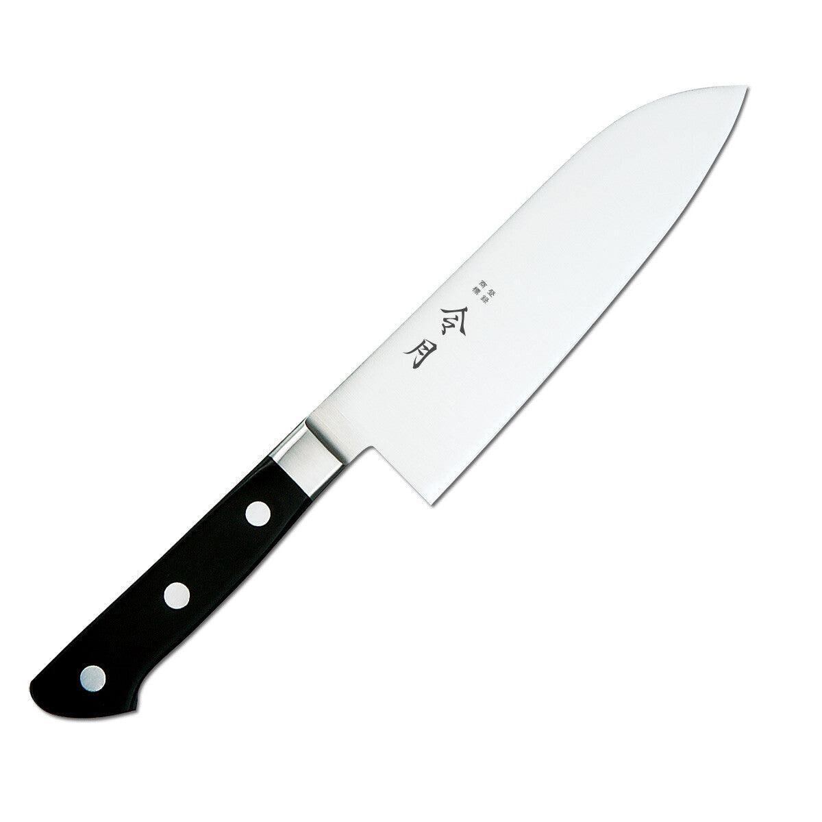 Fuji Cutlery Molybdenum Steel Gyuto Chef Knife 210mm FC-1046