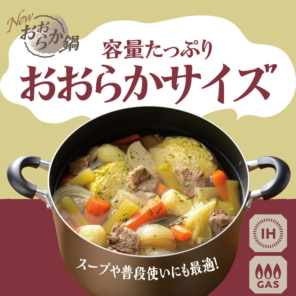 Wahei Freiz Nonstick Pot with Glass Lid 28cm RB-2505