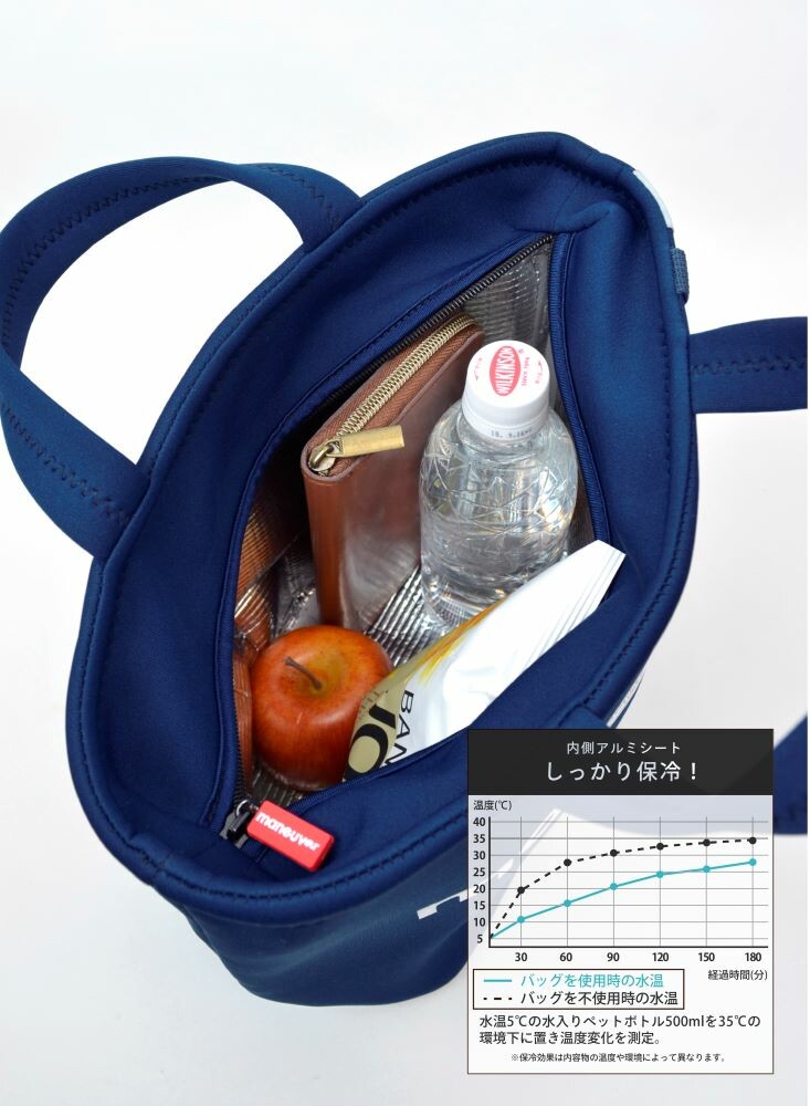 CB Japan Maneuver Insulated Lunch Tote Bag Gray