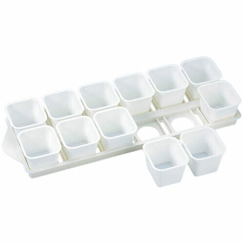 Tiger Crown Iceberg Ice Pop Mold Set of 12 with Stand 216