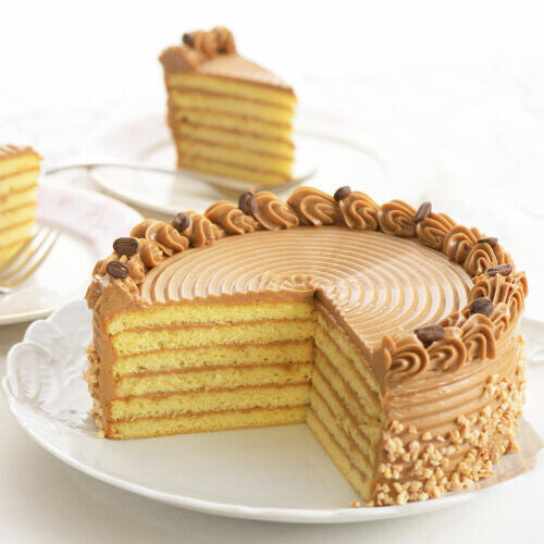 Tiger Crown Stainless Steel Cake Slicer for 18cm Cake 1726