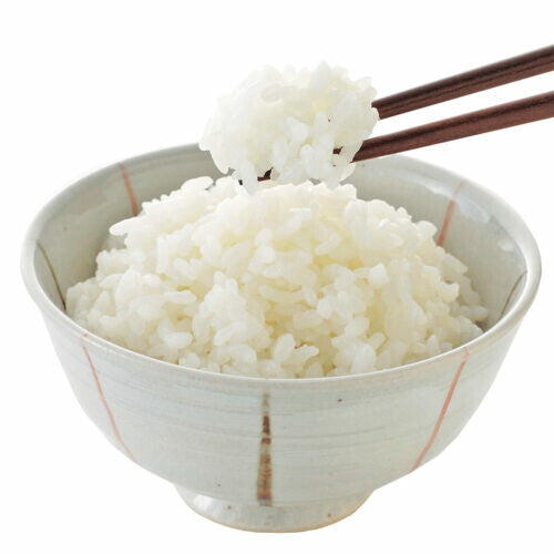 Tiger Crown Microwave Kamameshi Rice Cooker Pot 3562