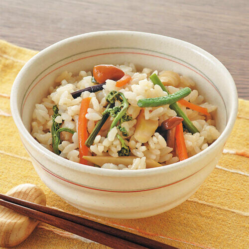 Tiger Crown Microwave Kamameshi Rice Cooker Pot 3562