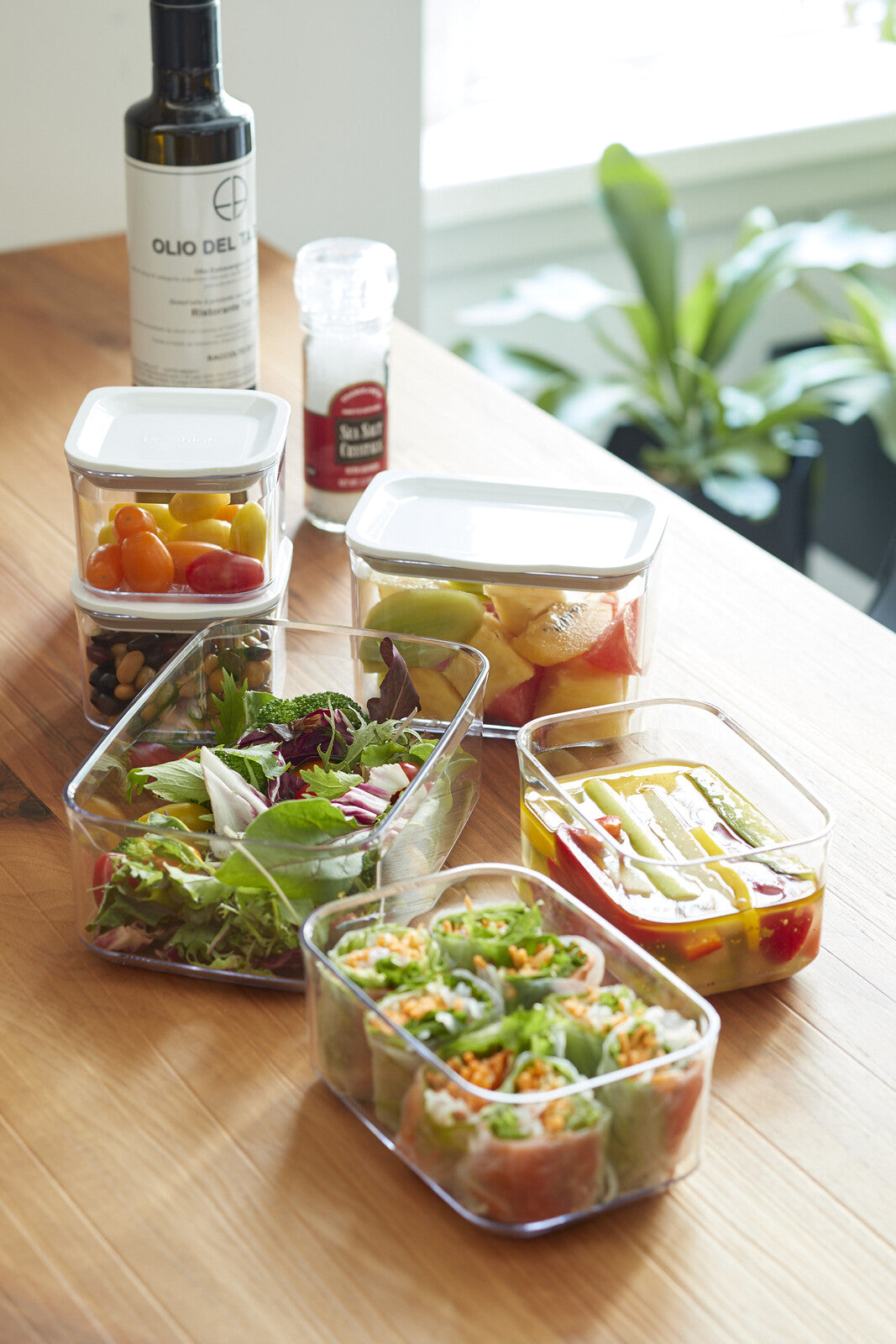 Takeya Fresh Lock Storage Container 500ml S500