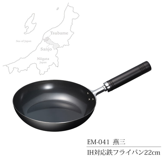 Wahei Freiz Ensan Iron Frying Pan 22cm Induction Compatible EM-041