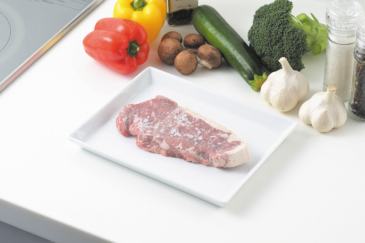 Tamahashi Days 4-Way Defrosting Plate DS-13