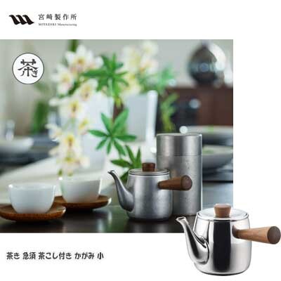 Miyazaki Seisakusho Chaki Teapot with Strainer Mirror Small 0.38L CHA-1