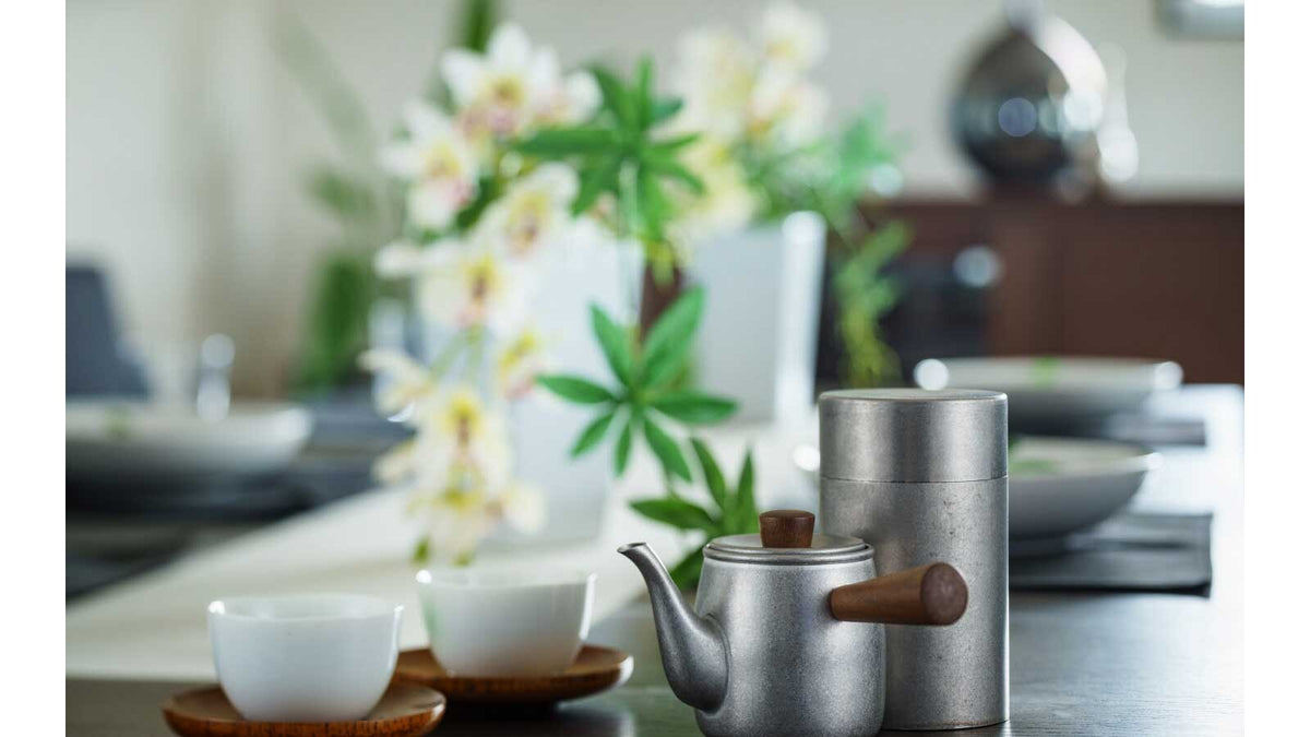 Miyazaki Seisakusho Chaki Teapot with Strainer Sand-Textured Small 0.38L CHA-2