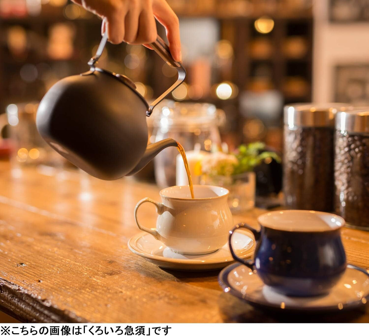Miyazaki Seisakusho Chaki Teapot with Strainer Mirror Large 0.7L CHA-4