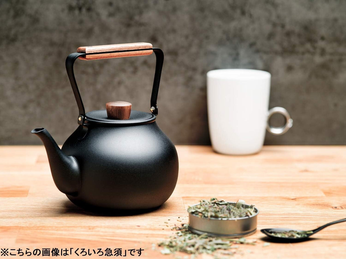 Miyazaki Seisakusho Chaki Teapot with Strainer Sand-Textured Large 0.7L CHA-5