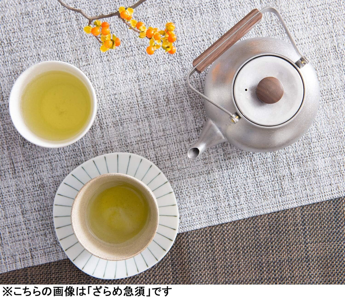 Miyazaki Seisakusho Chaki Teapot with Strainer Sand-Textured Large 0.7L CHA-5