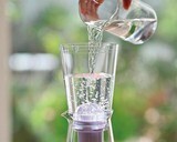 Hario Pure Water Softening Pot