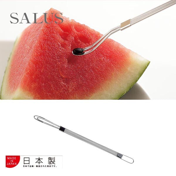 SALUS Fruit Seed Remover Stainless Steel
