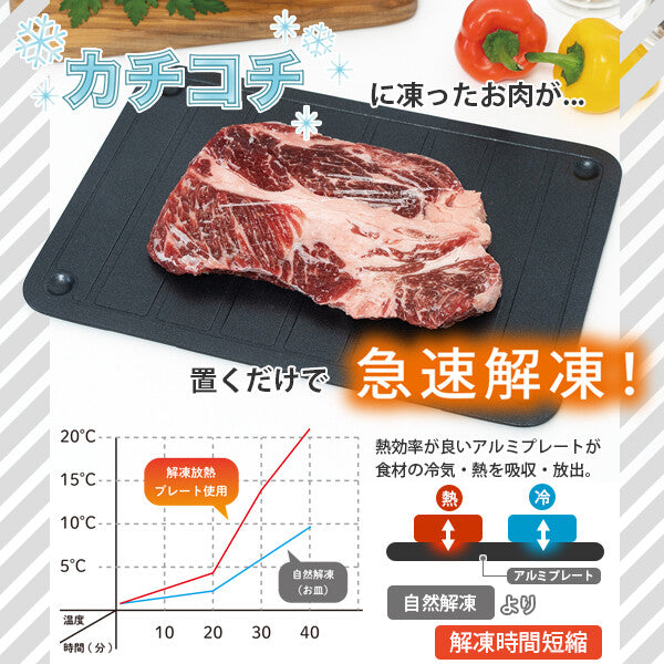 Wahei Freiz Kitchen Assist Thawing & Heat Dissipating Plate RE-7537