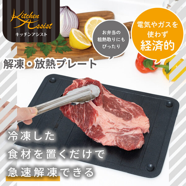 Wahei Freiz Kitchen Assist Thawing & Heat Dissipating Plate RE-7537