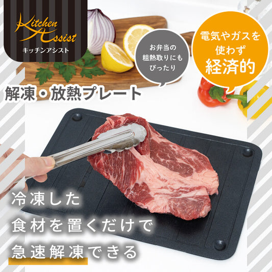 Wahei Freiz Kitchen Assist Thawing & Heat Dissipating Plate RE-7537