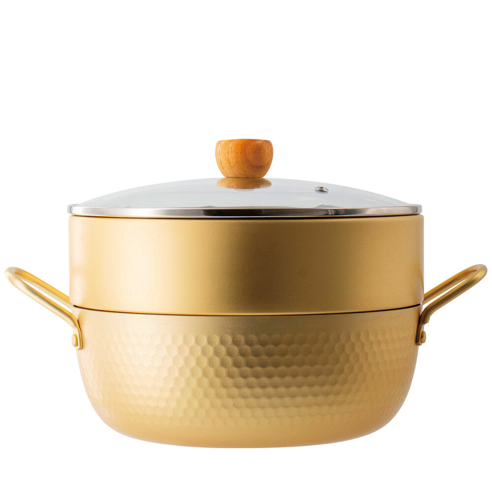 Wahei Freiz Hokona Induction Steamer Pot 24cm RB-3661