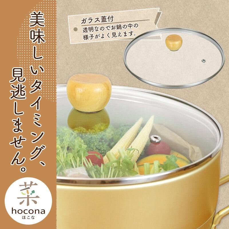 Wahei Freiz Hokona Induction Steamer Pot 24cm RB-3661