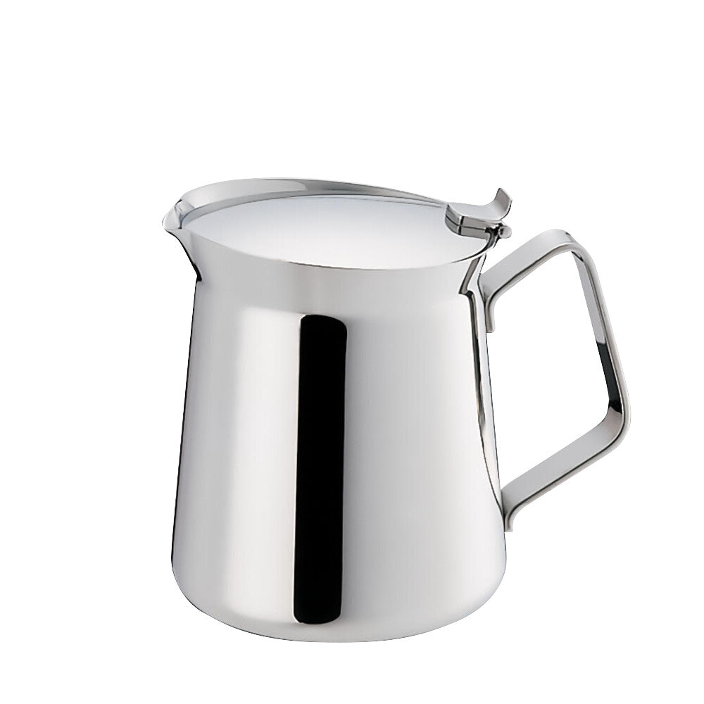 Wadasuke ET Type Teapot Stainless Steel for 2 People 2252-0203