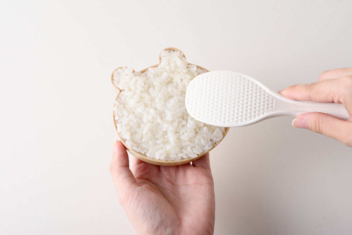 Arnest Bear Pocket Rice Mold Bento Set