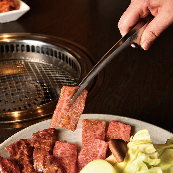 Tanabe Kanagu Yakiniku Tongs Tapered Tip Hammered 250mm 5564