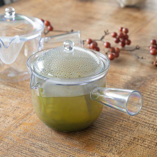 SALUS Clear Teapot with Stainless Mesh Infuser 480ml