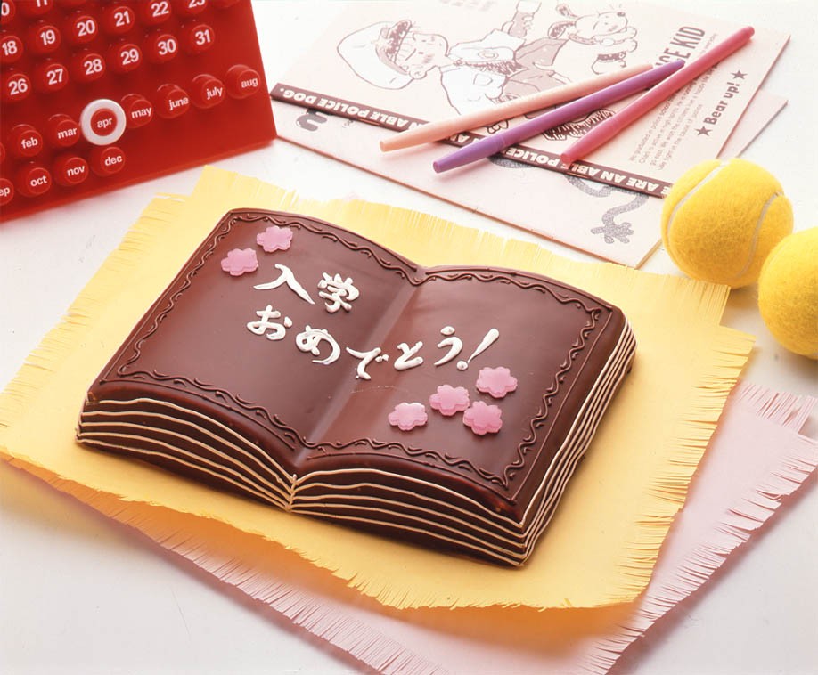Tiger Crown Chrome Plated Steel Book Cake Pan Large 24cm 911