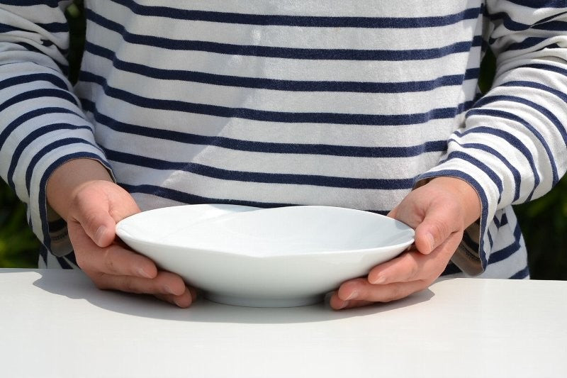Hakusan Porcelain Tomoe Multi-Purpose Shallow Bowl White Hasami Ware