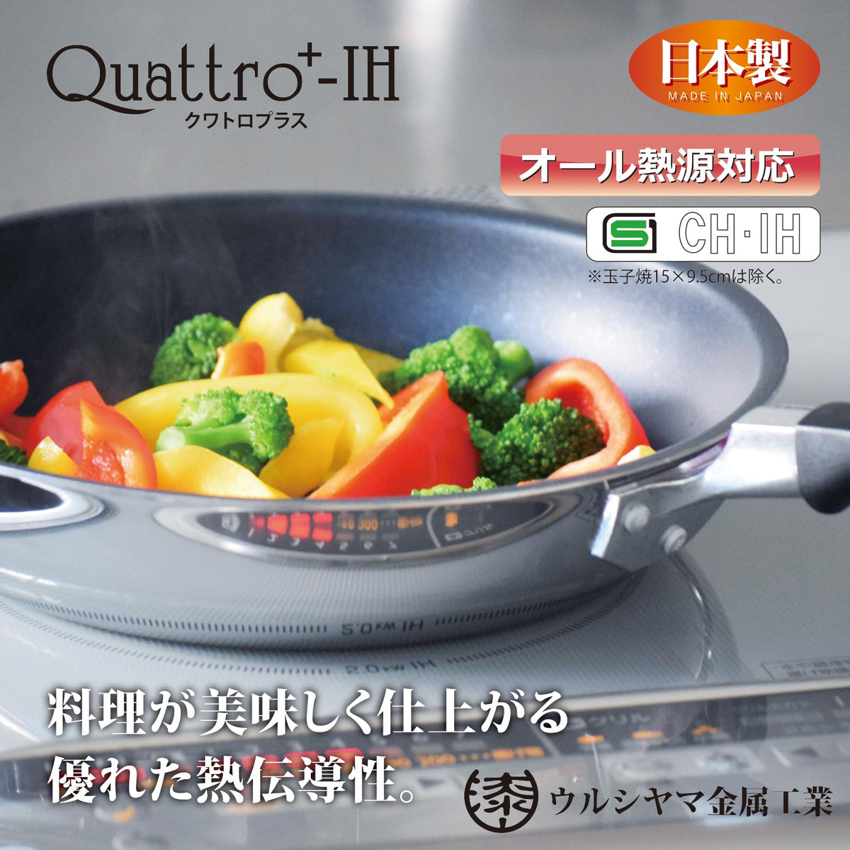 Urushiyama Quattro Plus IH Deep Frying Pan