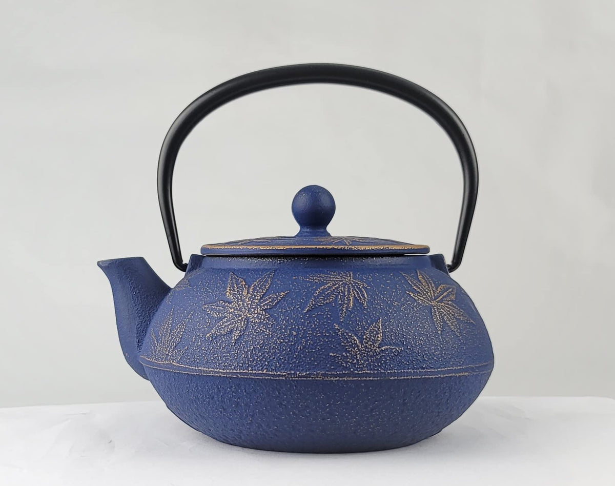 Iwachu Nambu Ironware Teapot Maple Gold/European Blue Type 5