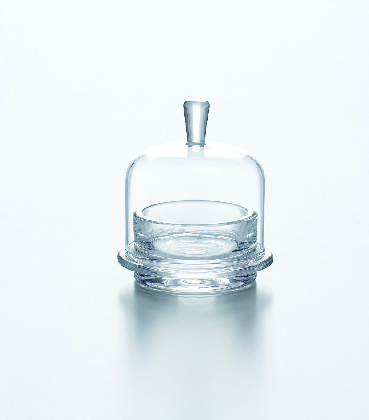 Toyo-Sasaki Glass Hanakazari Mini Cake Dome TS44013