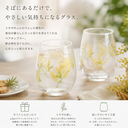 Toyo-Sasaki Glass Hanafumi Pair Tumbler 360ml Mimosa Baby's Breath Set of 2