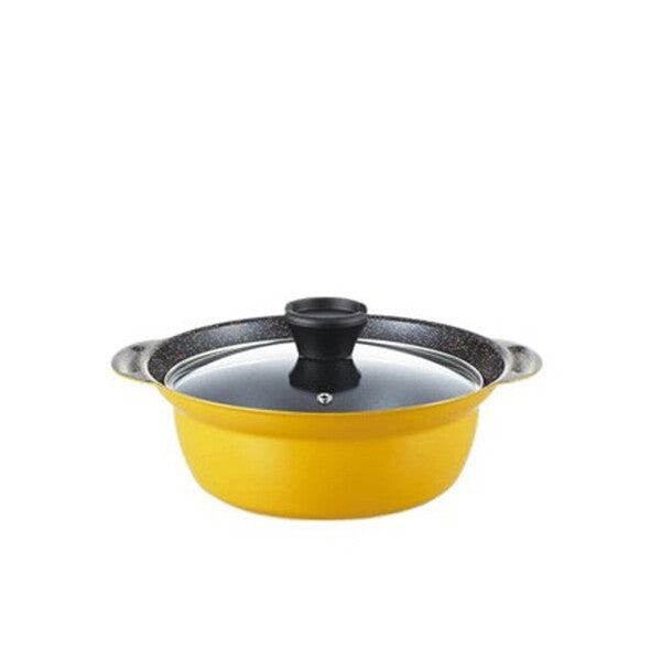Tamahashi Ikoi IH Tabletop Pot 20cm IK-20W