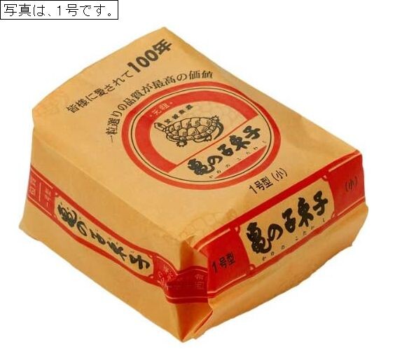 Kamenoko Tawashi Natural Palm Fiber Scrub Brush No. 1