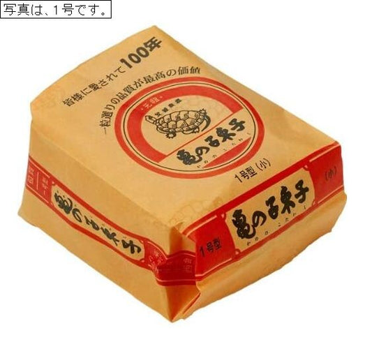 Kamenoko Tawashi Natural Palm Fiber Scrub Brush No. 1