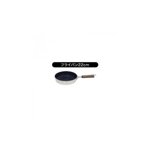 Urushiyama Fuga Non-Stick Frying Pan