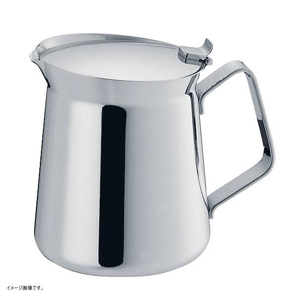 Wadasuke ET Type Teapot Stainless Steel for 2 People 2252-0203